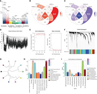 Immune infiltration landscape on prognosis and therapeutic response and relevant epigenetic and transcriptomic mechanisms in lung adenocarcinoma